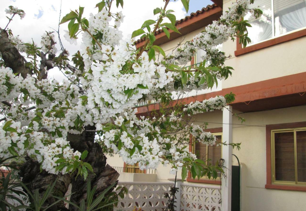 Cuencaloft El Patio De Pipo Apartment Куенка Екстериор снимка